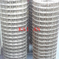 19X19mm galvanized welded wire mesh